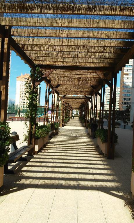 Apartment Carmentxu Gemelos 26 베니돔 객실 사진